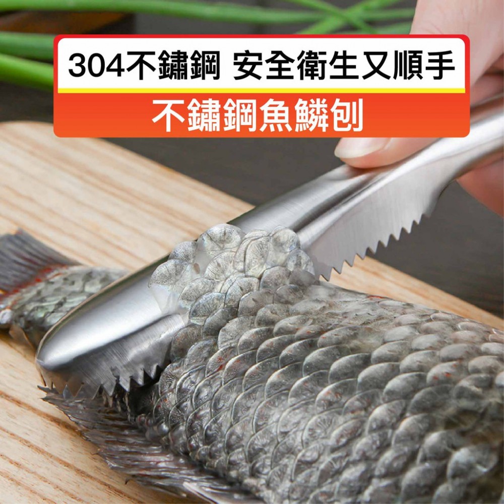 MQ安心購物 不鏽鋼魚鱗刨 打鱗器 除魚鱗 刮魚鱗器 去鱗器 打鱗器 魚鱗刀